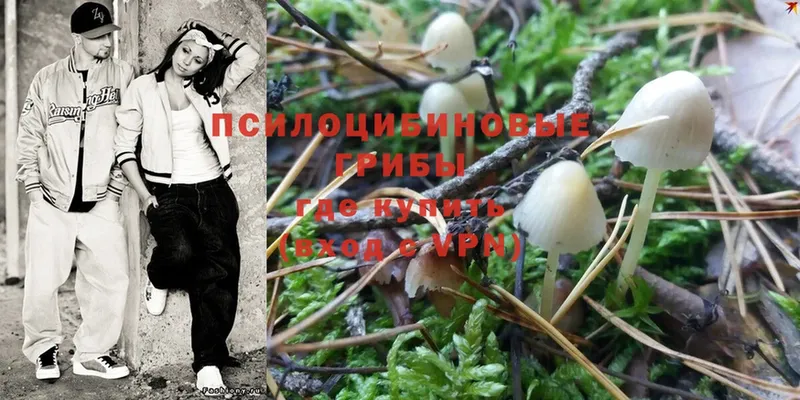 Галлюциногенные грибы Magic Shrooms  Белоусово 